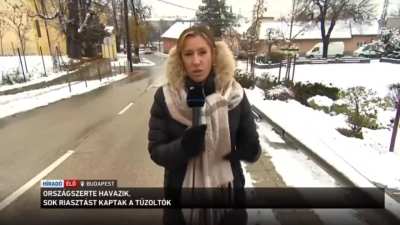 A k&ouml;zt&eacute;v&eacute;n ny&aacute;ri gumit aj&aacute;nlanak h&oacute;es&eacute;s idej&eacute;re