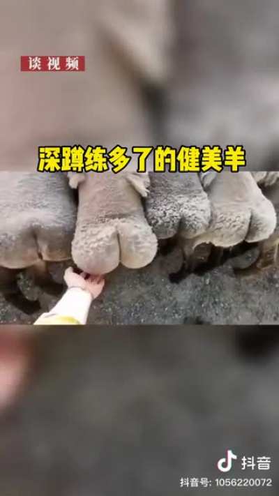 微滑