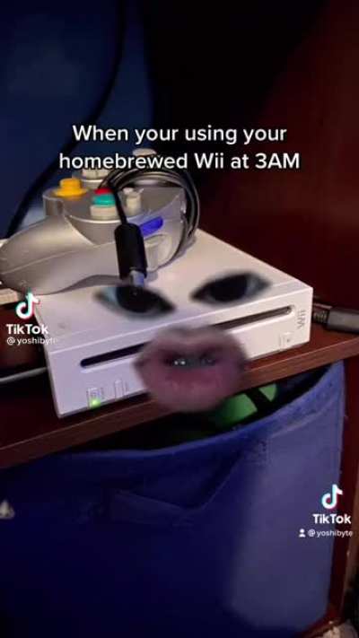 homebrewed wiis be like