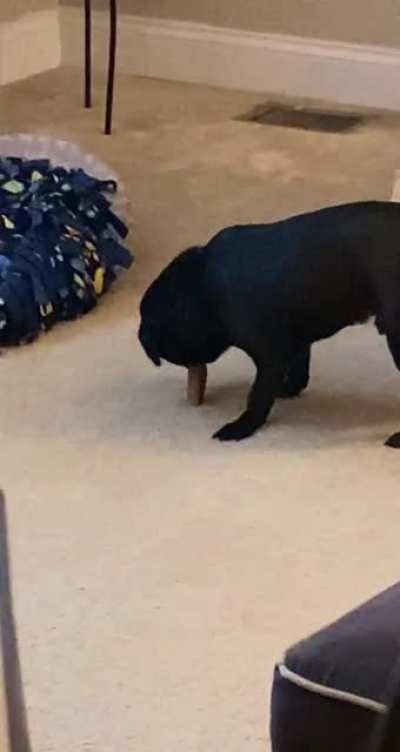 Gary does this with all his bones 🤦&zwj;♀️