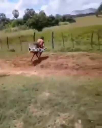 Si
