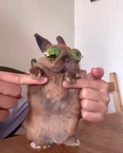 Mood 😎