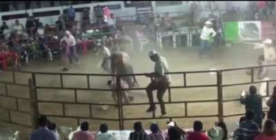 Experienced Bull Rider Didn&rsquo;t Stand a Chance this Time