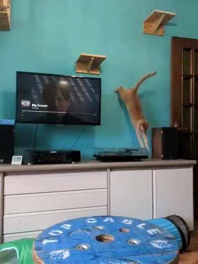 Good at jumping, bad at keeping the ball
