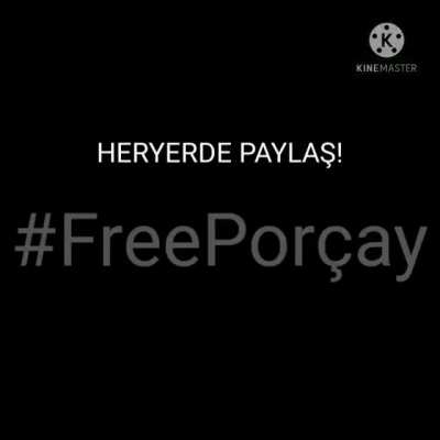 #FreePor&ccedil;ay (shitpost)