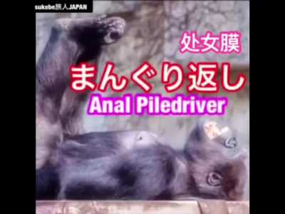 Learn from monke