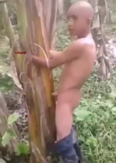 Yokluktan ağa&ccedil; siken adam