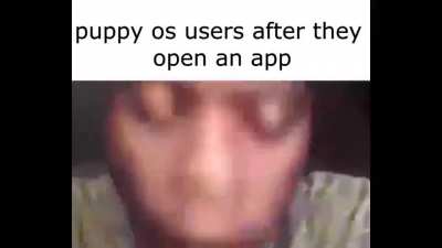 Meme from random linux discord server