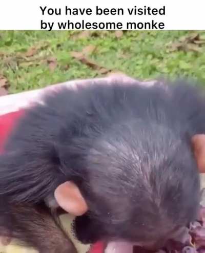 Wholesome 1mil+