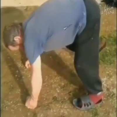 Drunk exercise