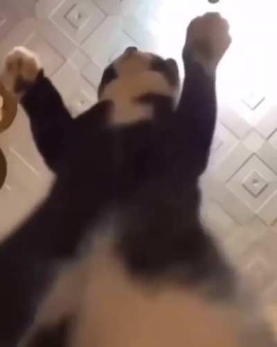 Friday mood