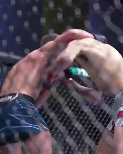 Brutal body shots to finish the fight