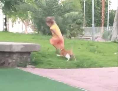 HMJB while I mess with this cat