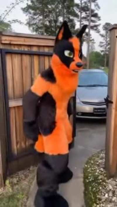 cute🦊irl