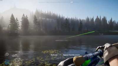 Just some peaceful fishing...