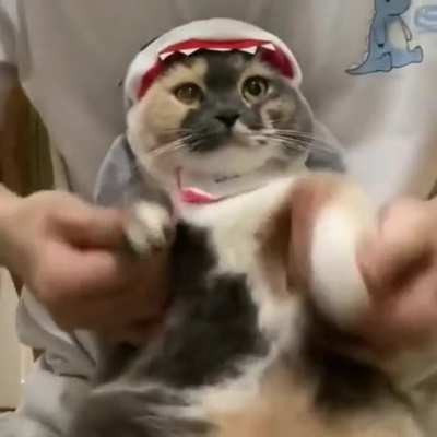 yall Ever just