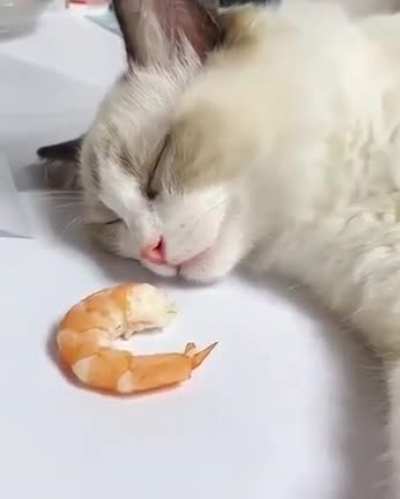 "I was just dreaming of this"