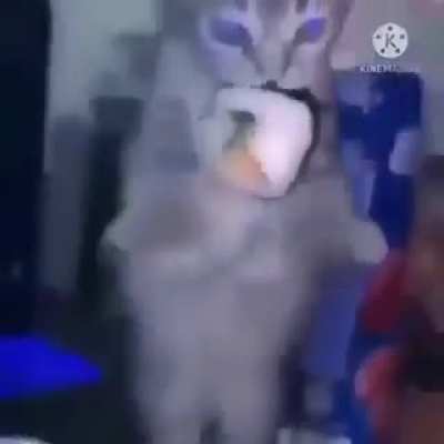 Tu riri uuun