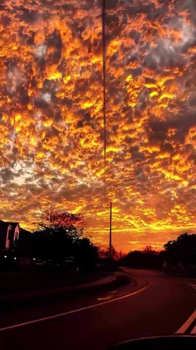 sunset 😍