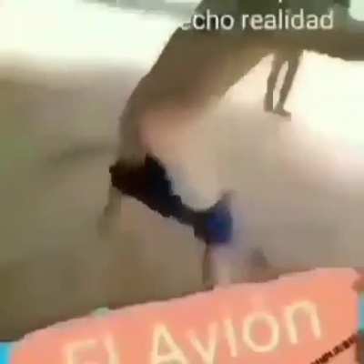 el avion