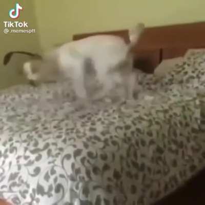 I hope this hasn&rsquo;t been posted on here yet. This is perfect