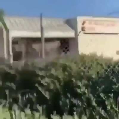 Posting random videos from my phone until I buy a new home button - day 103