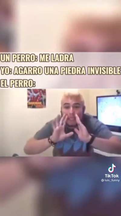 XD