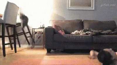 And then, sudden chaos