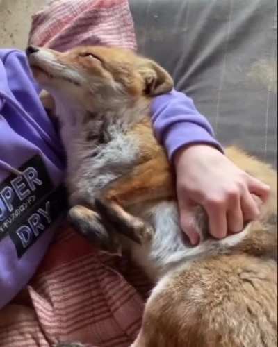Cuddle Puddle