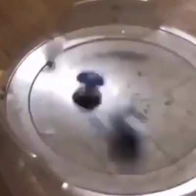 This power should be feared