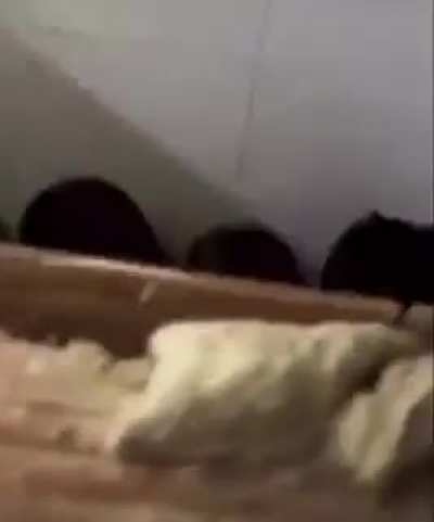LARGA VIDA A LA GUERRA DE CLANES