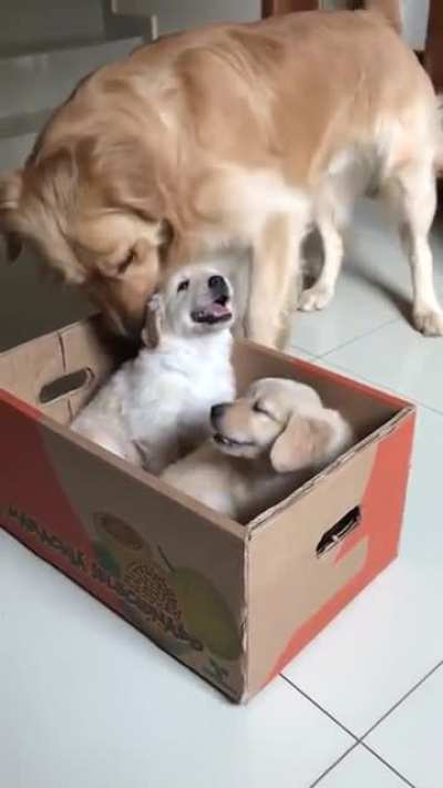 Look at that smile!
