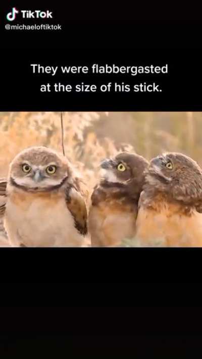Stick