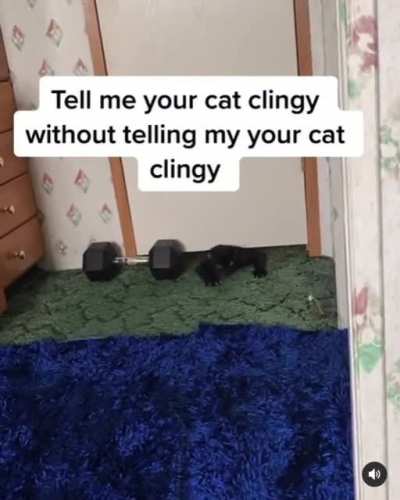 WHAT THE HELL