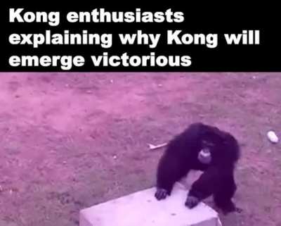 Team Kong!