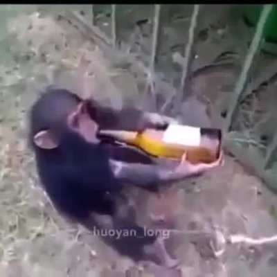 Mood