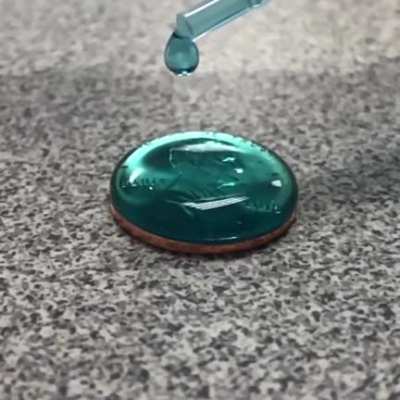 Demonstration of water's surface tension.