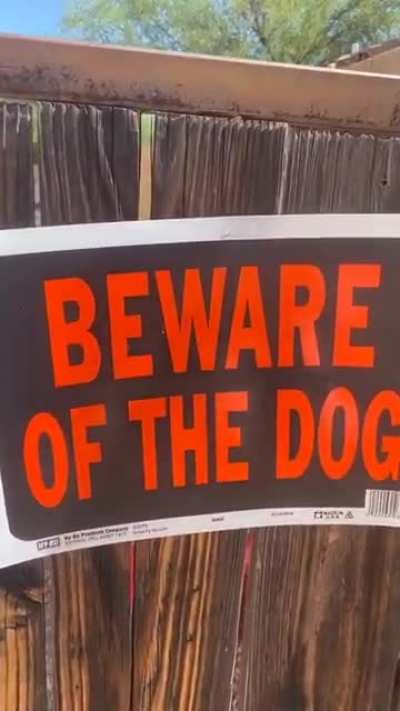 BEWARE OF THE DOG