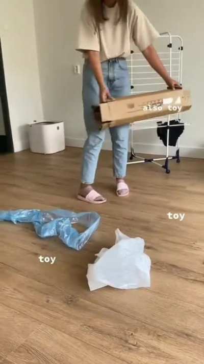 Cardboard box fun