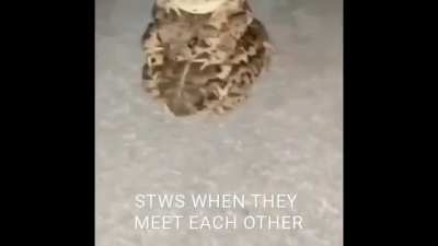 Yeah bro I guess it true