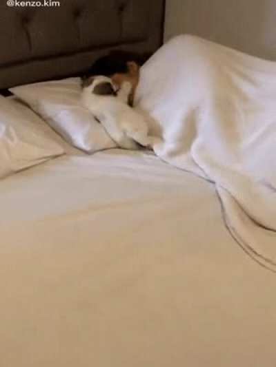 Who needs alarm when he's around.
