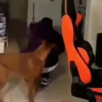 No Coscu que estás haciendo con ese perro!!! 😨