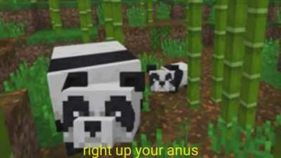 SlipperyT