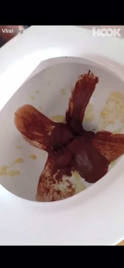 Ice cream in a toilet bowl. Why???