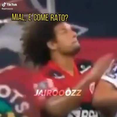 Qual o animal?