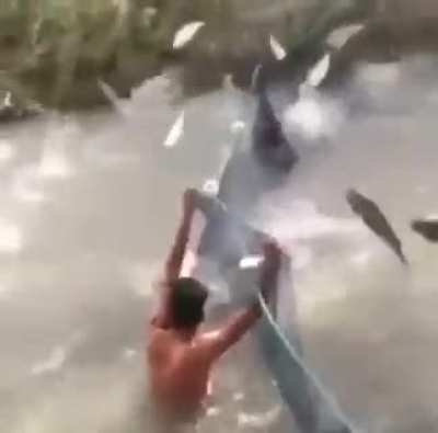 QUE PESCAR QUE NADA