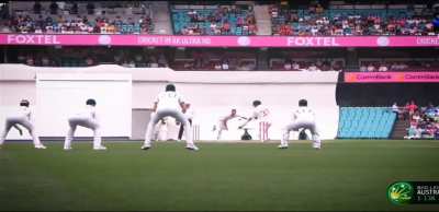 Take a look at this stunning 360° replay of David Warner's dismissal