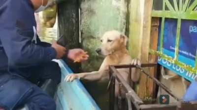 Need a ride sailor?