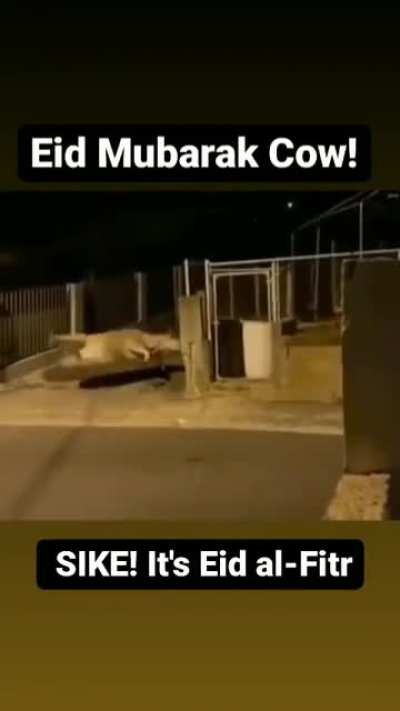 Eid Mubarak bros!