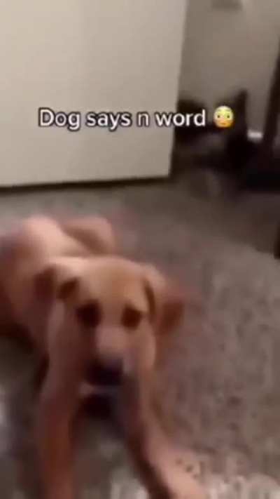 Ops